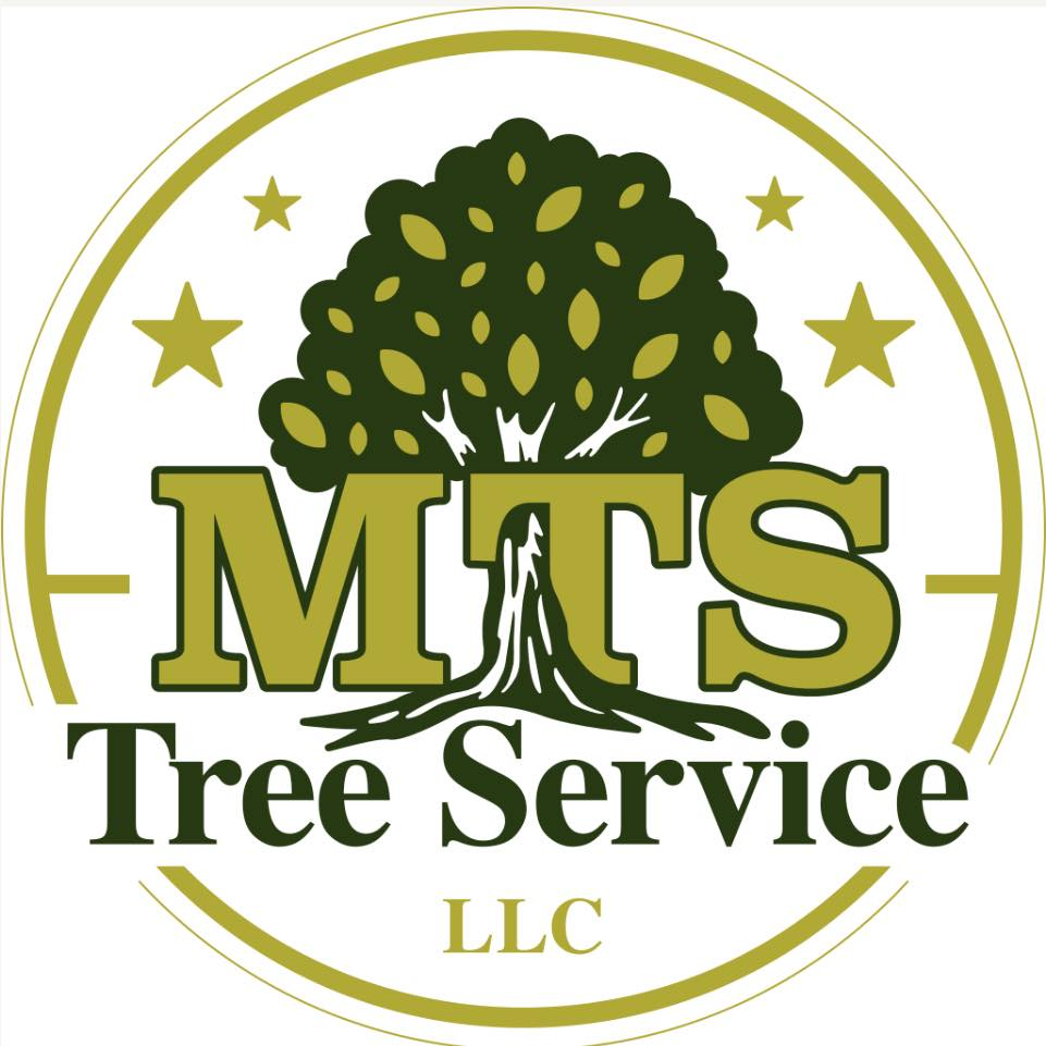 MTS Tree Service LLC